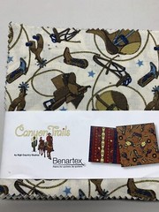 Benartex Fabric Canyon Trails 42 5″ Squares