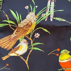 1+ Yard Black Fabric With Tropical Birds Leaves Satin Silky Gold Yellows Reds
