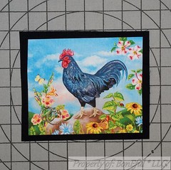 BonEful Fabric FQ Cotton Quilt VTG Applique Black Rooster Chicken Farm Sunflower