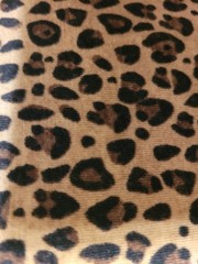 Hobby Lobby – Stretch knit fabric by the yard – Leopard print. New. 2 yds.