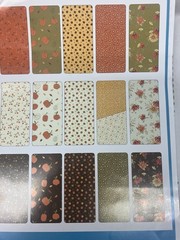 Riley Blake Adel In Autumn 10” Fabric Stacker Layer Cake Sandy Gervais 42 Piece