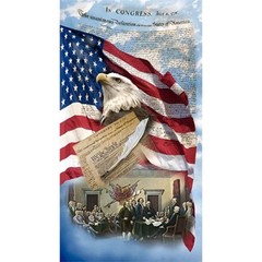 We The People ~ American, Flag, Eagle, Patriotic Quilt Panel ~ 24″ x 44″ NLA