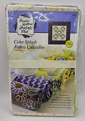 Annie’s Creative Quilter Fabric Club–Color Splash by Art Gallery