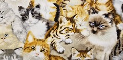 BTHY REALISTIC CUDDLE CATS KITTENS PETS ANIMALS New Cotton Fabric