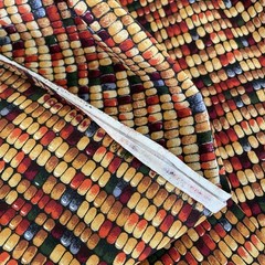 NEW 6 Yards x 42” W Fall/ Autumn Corn Kernels Medium Weight Cotton Fabric