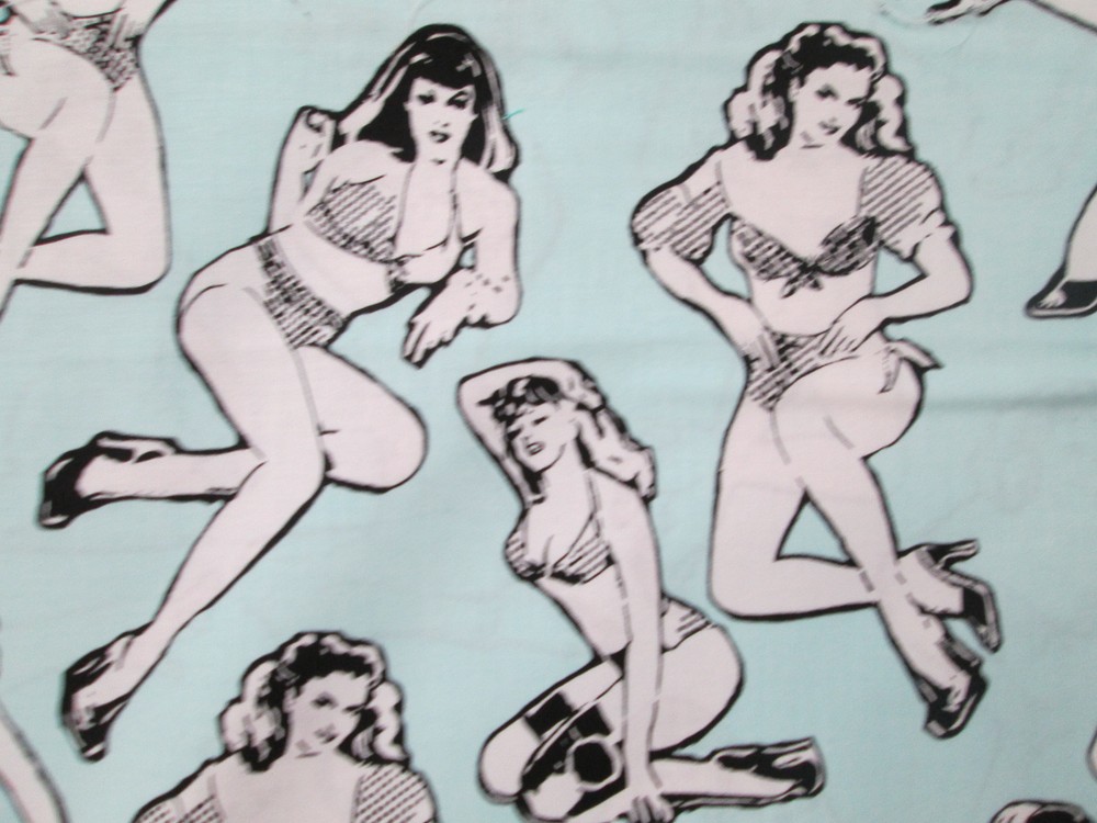 PIN UP GIRLS MOVIE STAR PIN UPS HOLLYWOOD FILM STAR COTTON FABRIC FQ