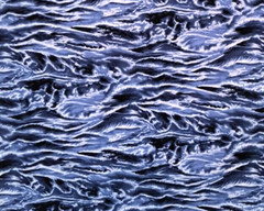 New Hoffman International Fabrics 19″ x 27″ Cotton Nature’s Elements Blue Waves