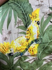 Indian Cotton Multi Parrot Dressmaking, Sewing Running Cotton Fabric 7 Yards AU
