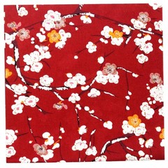 5 PCS Cotton Craft Fabric Bundle Squares 20×20 Inch 50x50cm Japanese Style