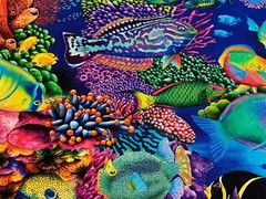 Fabric Fish Coral Canyon Ocean on Aqua Cotton KAUFMAN 1/4 Yd AQCD-199 0350
