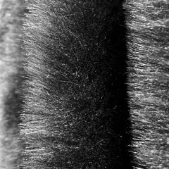 Zahra BLACK 0.75 Inch Short Pile Soft Faux Fur Fabric by the Yard