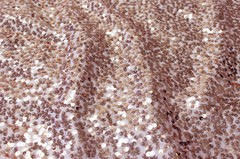 Blush Rain drop seqiun taffeta fabric 55″ wide sold by the yard Dress Craft