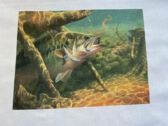 2 VINTAGE BASS QUILT BLOCK SQUARE SEWING FABRIC OUTDOOR WATER RUSTIC FISHING A1