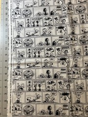 Peanuts SNOOPY Comics Cotton Fabric 1/2 Yard (18 By 44”)
