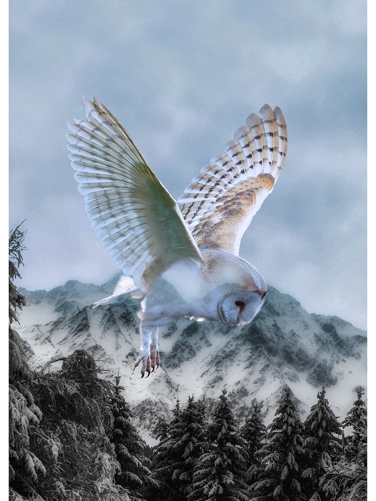 Call of the Wild Powder Blue Snow Owl Panel by Hoffman Fabrics