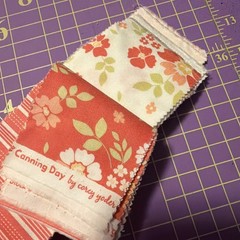 30 Jelly Roll Pieces Of 2 1/2” Cotton Quilt Fabric Moda Peach Corey Yoder Floral