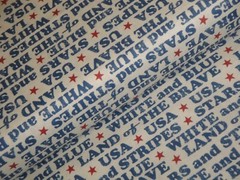Land Of The Brave Combed Cotton Digitally Printed Patriotic Americana Fabric