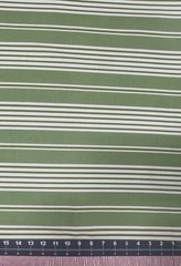B123 3 1/2 Yards Green Stripes Waverly Inspirations Screen Print Fabric 45″