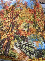 Timeless Treasures of SoHo Cotton Fabric – Nature – Fall – 40″ x 1.16 yard
