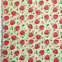 VTG Strawberry Shortcake Those Characters From Cleveland 2003 Flannel Green BTY