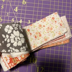 30 Jelly Roll Pieces Of 2 1/2” Cotton Quilt Fabric Moda Peach Corey Yoder Floral