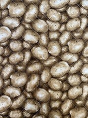 Potatoes Quilted Fabric For Sewing, Home Decor, Crafts 58” X 42”