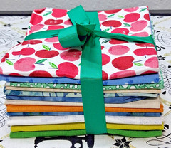 12 Quilting Fat Quarters (22″ x 18″) Variety of Colors & Designs