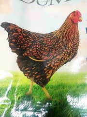 Empty Chicken Feed Woven Plastic Bag Sack Poulin Grain Crafts Art Repurpose