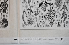 Andover Fabrics Cotton Fabric Panel Floral Botanical Quilt Blocks HTF OOP