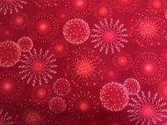 Fabric Patriots Red Print By Robert Kaufman 43”X 45” 158