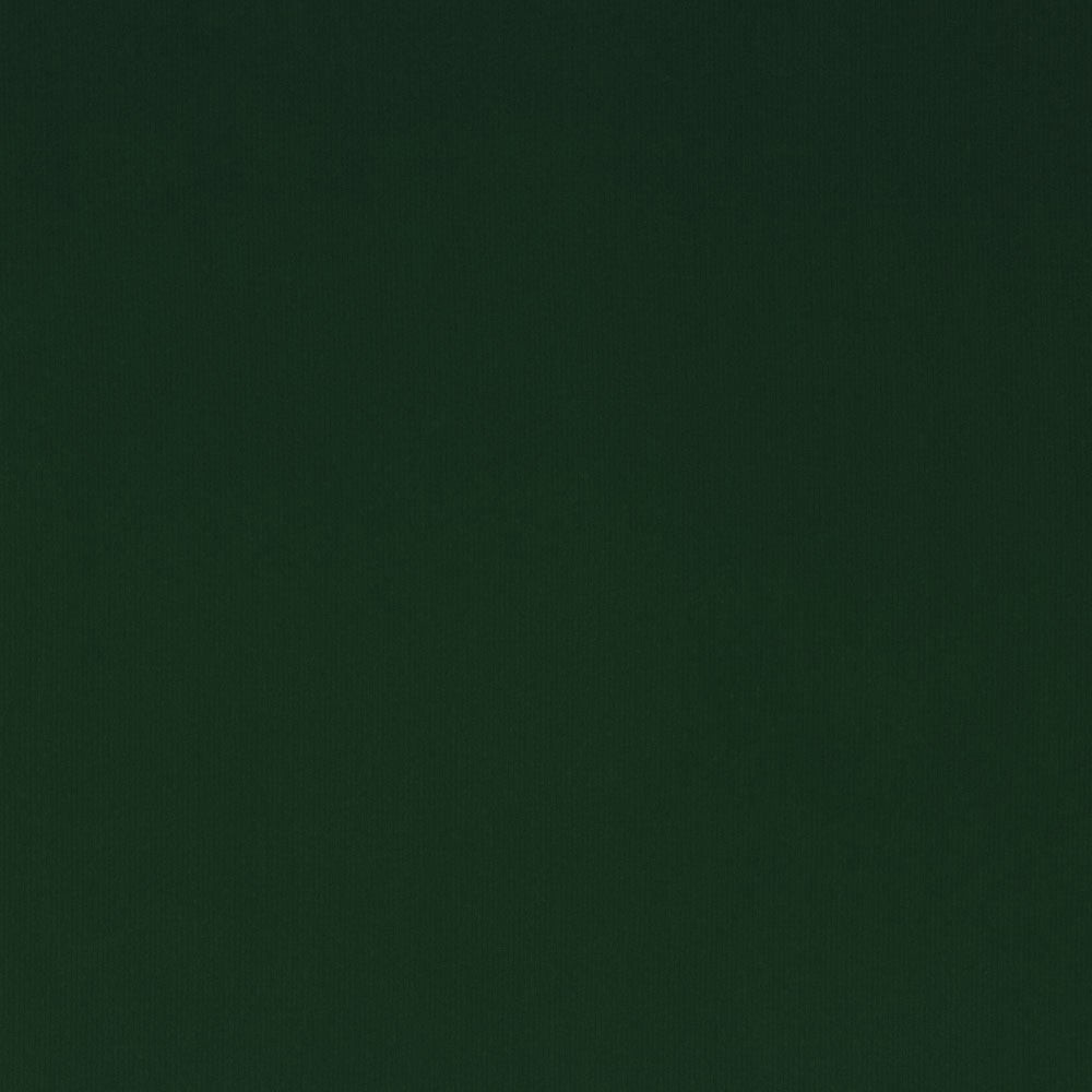 Linden Forest Solid Dark Green Velvet Regal Upholstery Fabric