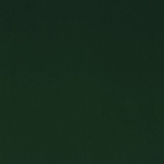 Linden Forest Solid Dark Green Velvet Regal Upholstery Fabric