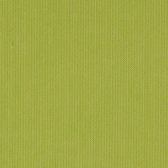Sunbrella® Indoor / Outdoor Upholstery Fabric – Spectrum 48023-0000 Kiwi