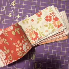 30 Jelly Roll Pieces Of 2 1/2” Cotton Quilt Fabric Moda Peach Corey Yoder Floral