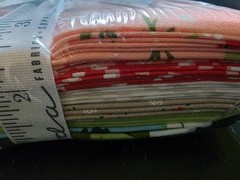Quilty Box Full Kit March 2019 Fabric, pattern, thread, seam ripper