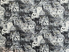 WICKED OWLS YELLOW EYES OWL SPOOKY BLK WHTE GRAY COTTON FABRIC FQ