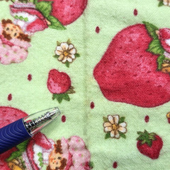 VTG Strawberry Shortcake Those Characters From Cleveland 2003 Flannel Green BTY