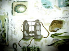 Fabric Red Rooster “Nature’s Sketchbook” Bird Nest Binoculars Ferns Ducks $4.95