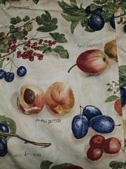 VTG Interior Fabric Design 1995 Fruit Medley With Latin Names 3 Pieces Sewn Tog