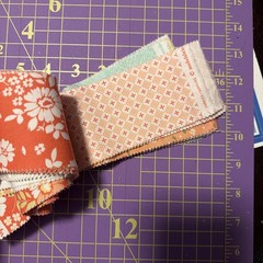 30 Jelly Roll Pieces Of 2 1/2” Cotton Quilt Fabric Moda Peach Corey Yoder Floral
