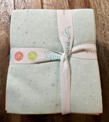 Forever Neverland 21 PC FQ Bundle Jill Howarth for Riley Blake – Peter Pan