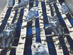 1 7/8 yds Blue and White Owl in birch trees design light Upholstery fabric
