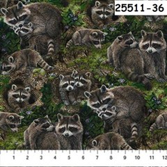 Little Rascals Raccoon cotton quilt fabric Northcott Stonehenge Bark 25515-93