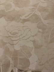 NEW Ivory Off White Stretch Netting Soft Apparel Fabric Lace Floral 2 Yards