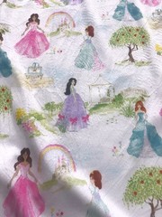 60″ Wide Once Upon a Time Princess Minky Fabric By The Yard