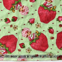 VTG Strawberry Shortcake Those Characters From Cleveland 2003 Flannel Green BTY