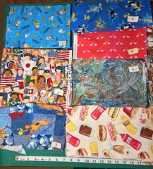 Remnants FQs Novelty Horse Dog Cat WB Charlie brown cotton Craft quilt Fabric