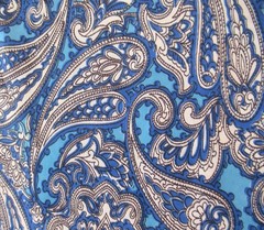Vintage Paisley Nylon Fabric Double Width 186cm wide x 2.8 meters