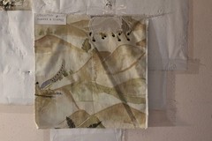 Clarke & Clarke Sahara Embroidered Desert Oasis Scene Various Colors and Sizes