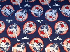 Cotton Fabric Wonder Woman 43”x 39” By DC Comics 2017s